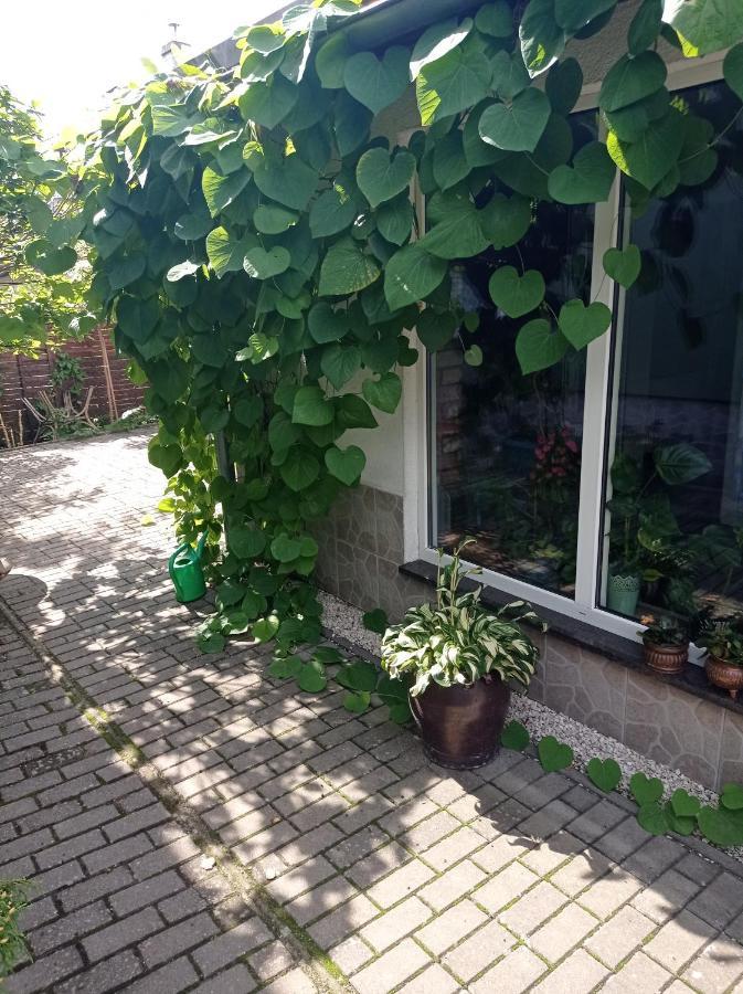 Pokoje Goscinne Cisowa Zielona Gora  Luaran gambar